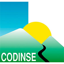codinse